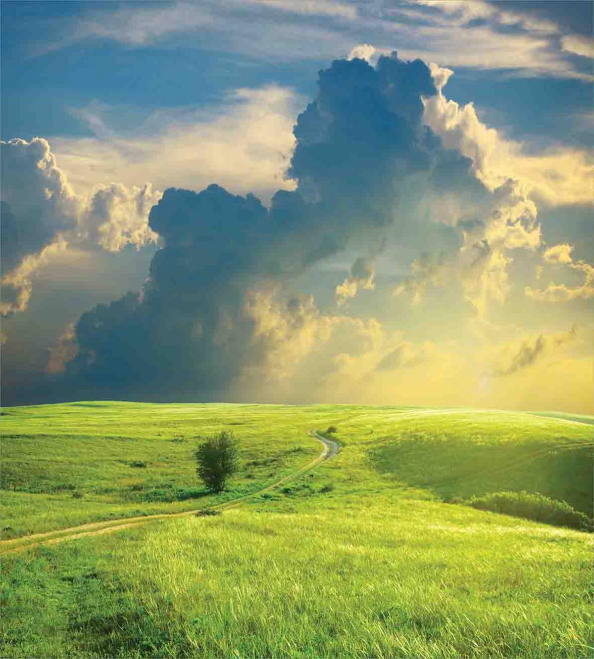 Summer Spring Rural — Pattern
