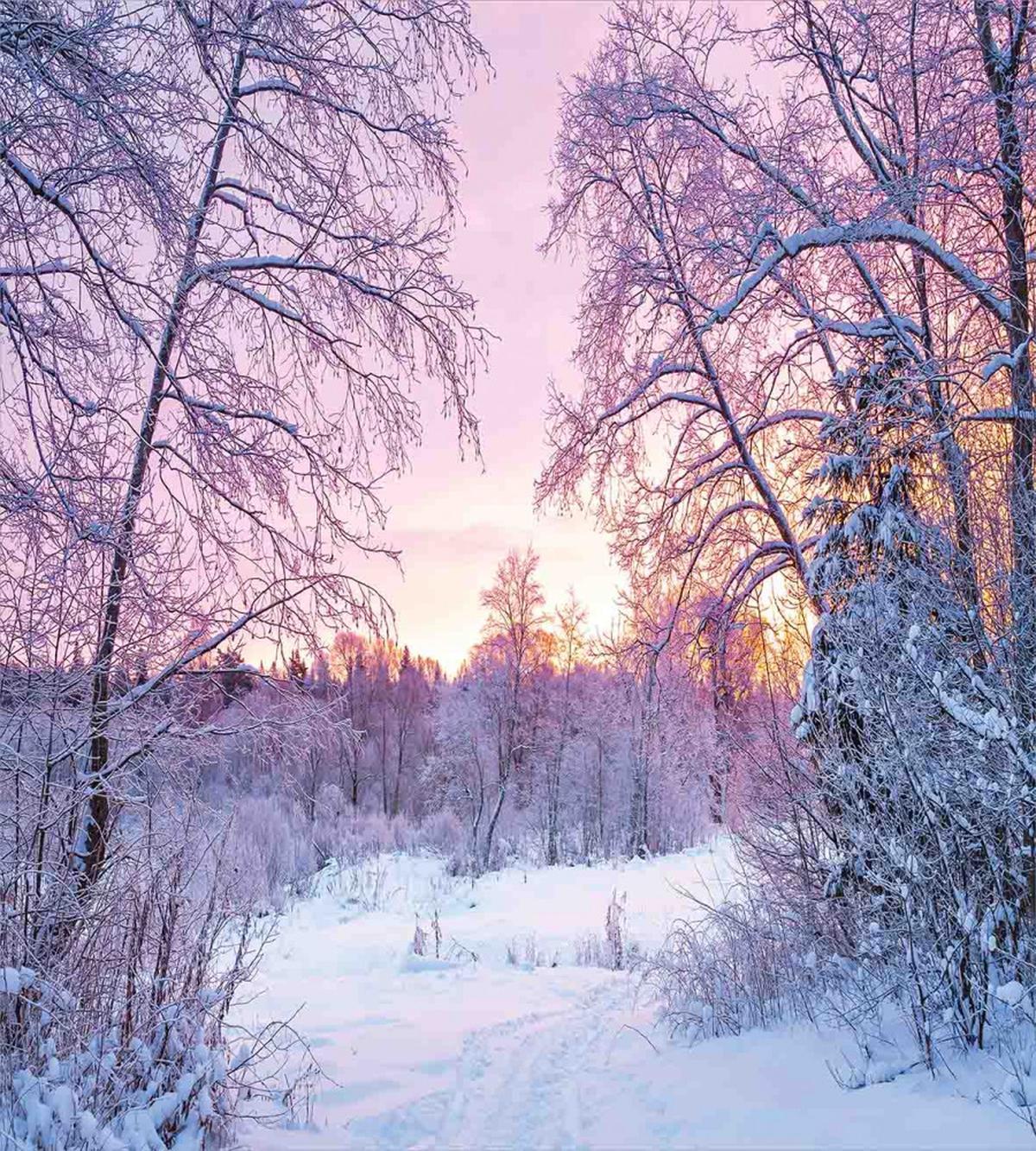 Braches Snowy Sunset — Pattern