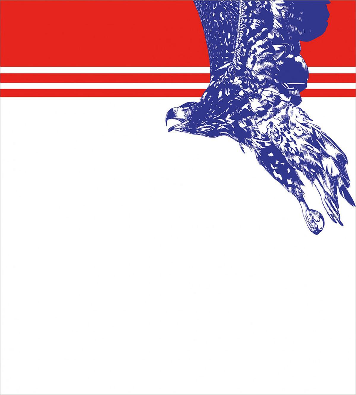 American Flag Colors Bird — Pattern