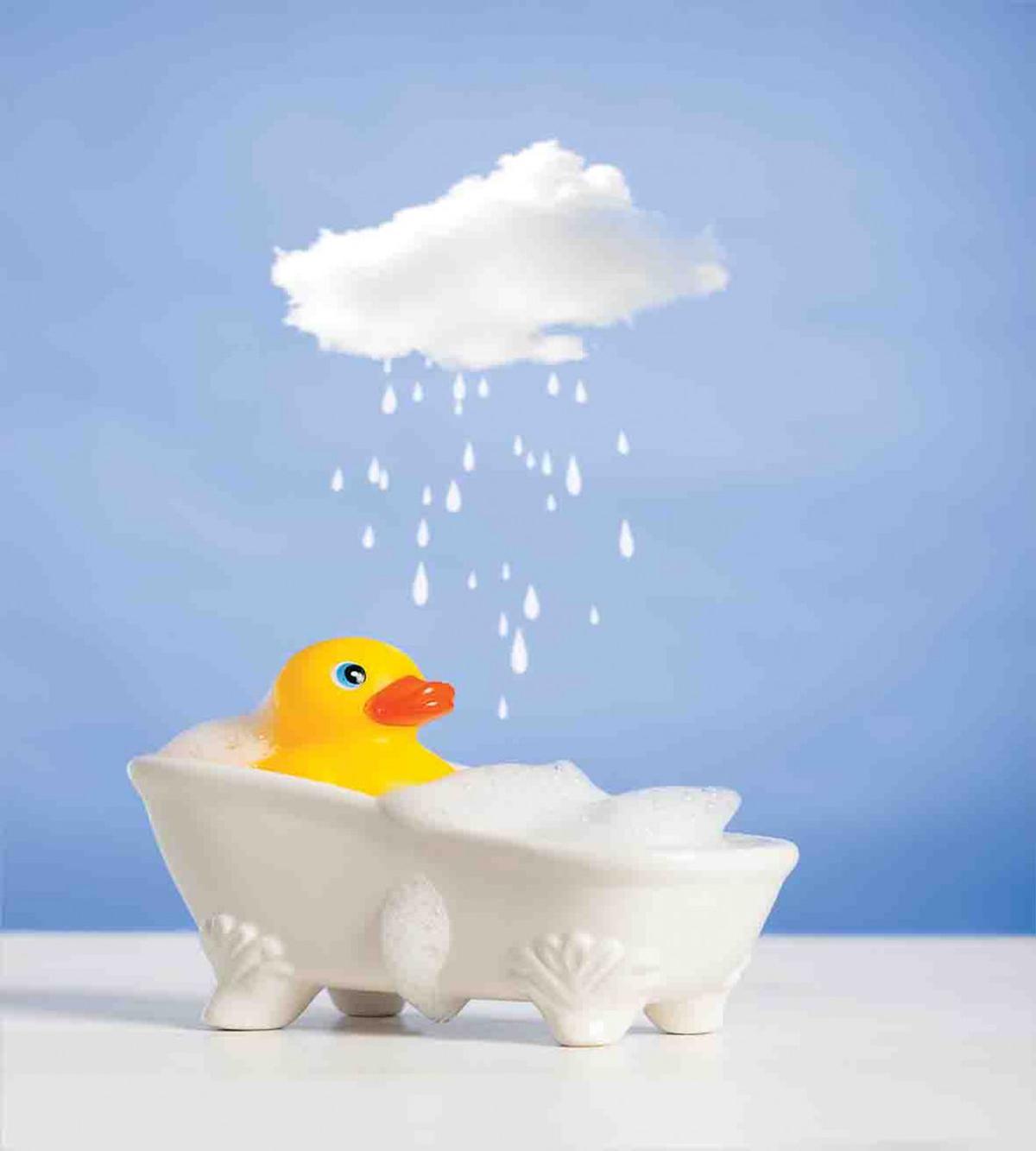 Duck Taking Bath — Pattern