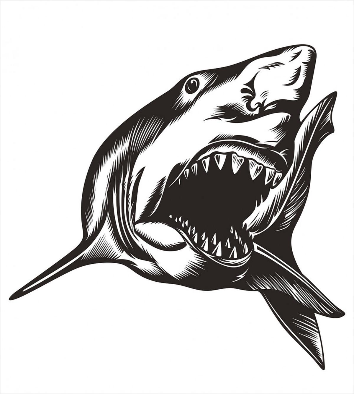 Wild Fish with Open Mouth — Pattern