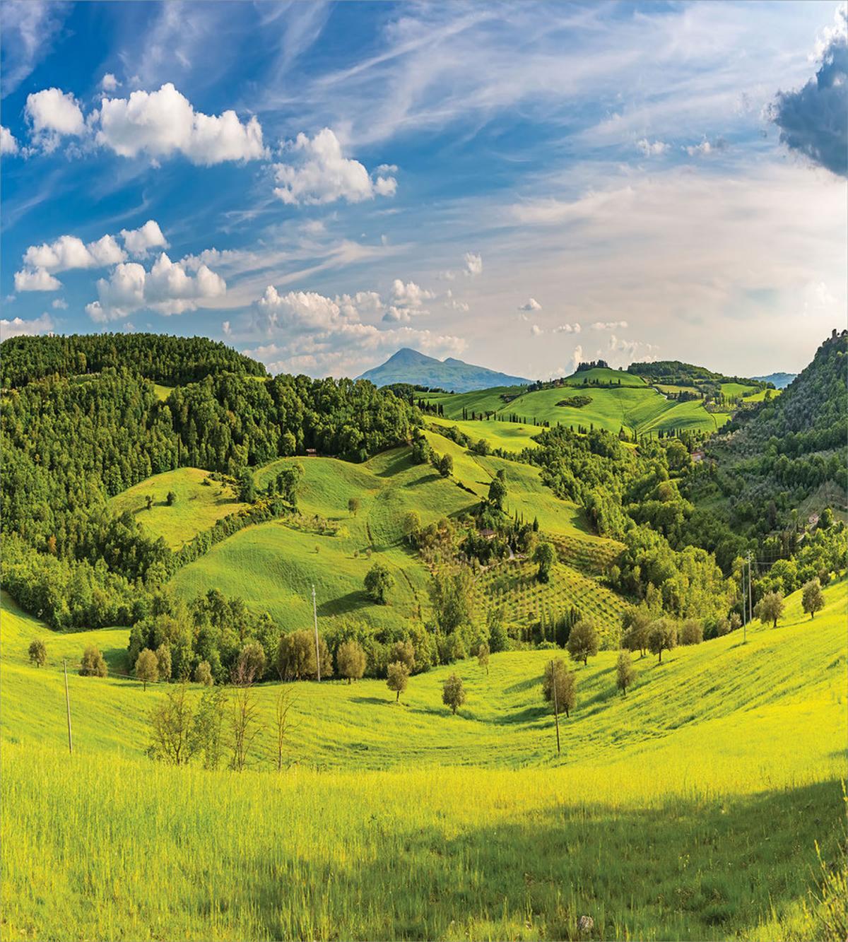 Tuscany Italy Farms — Pattern