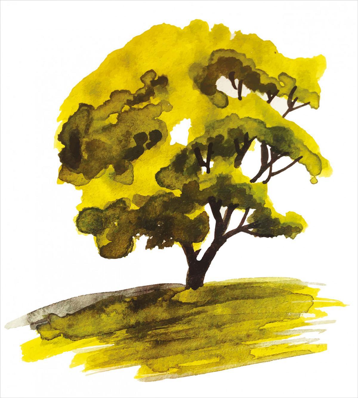 Watercolor Oak Tree — Pattern