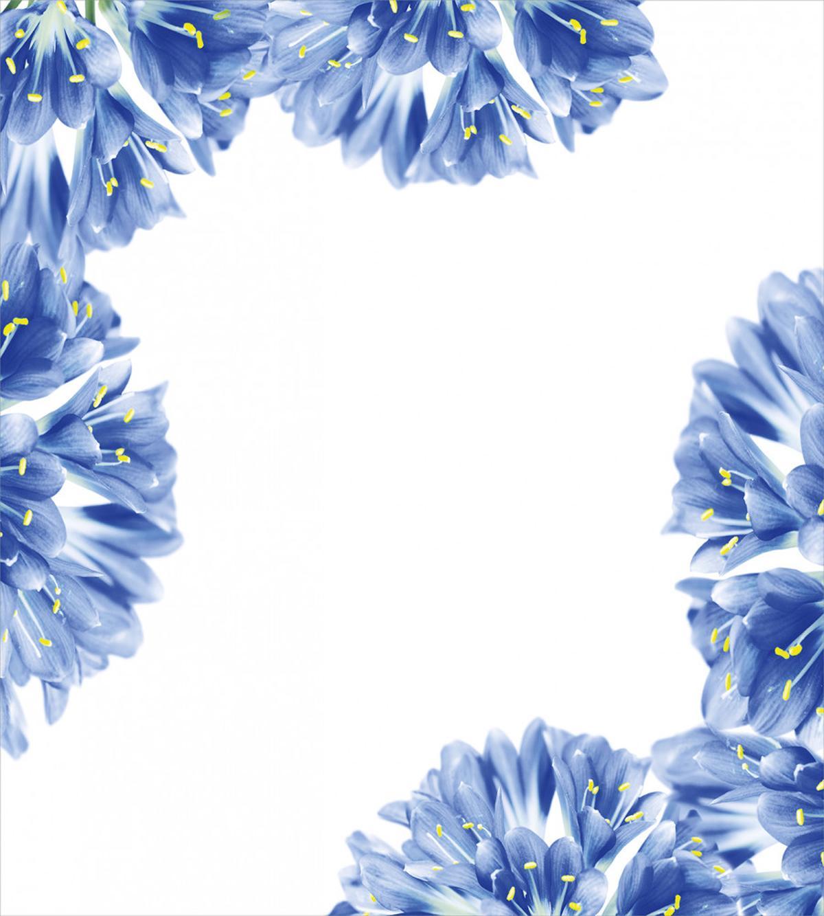 Delicate Crocus Border — Pattern