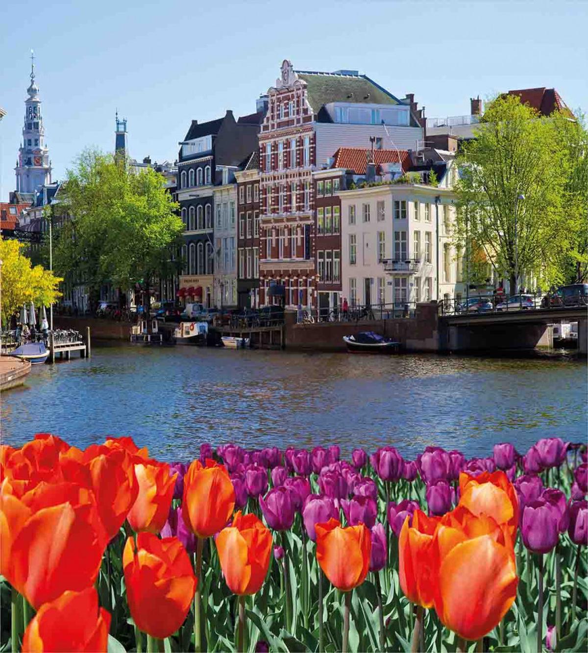 Holland Amsterdam Wiev — Pattern
