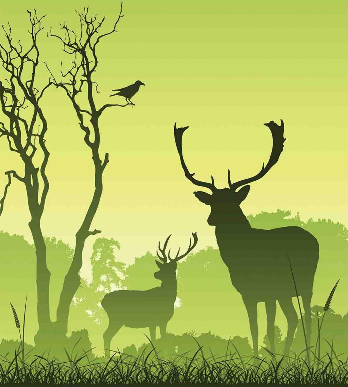 Deer Trees and Crow Bird — Pattern