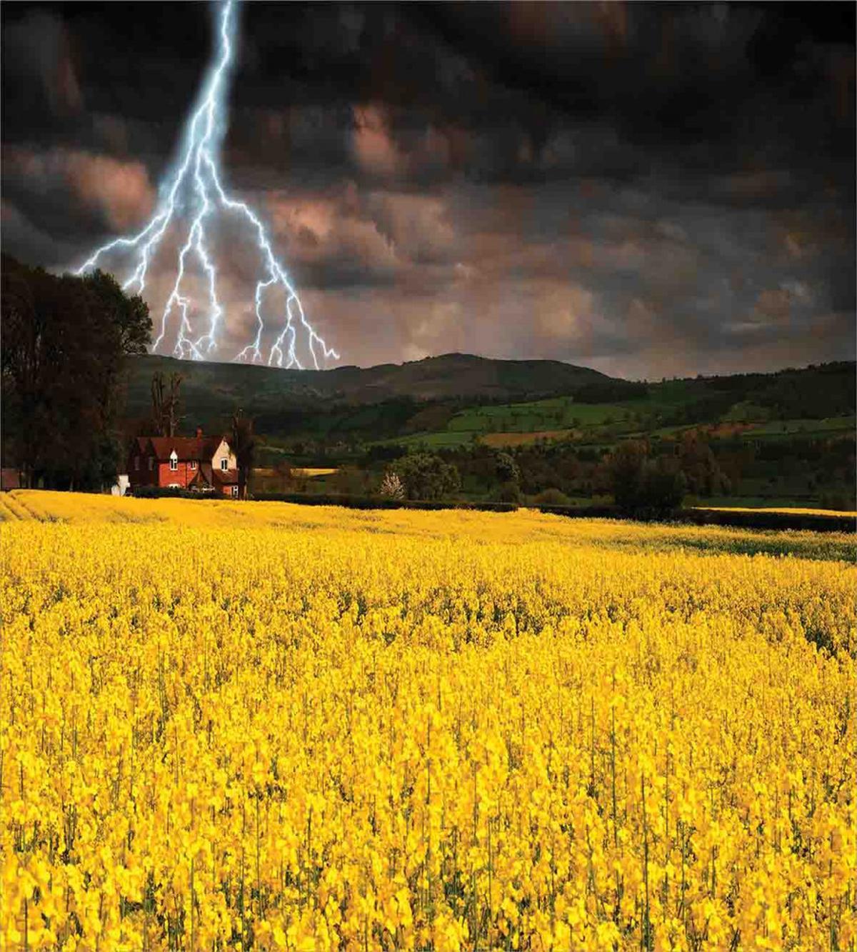 Thunderstorm over Meadow — Pattern