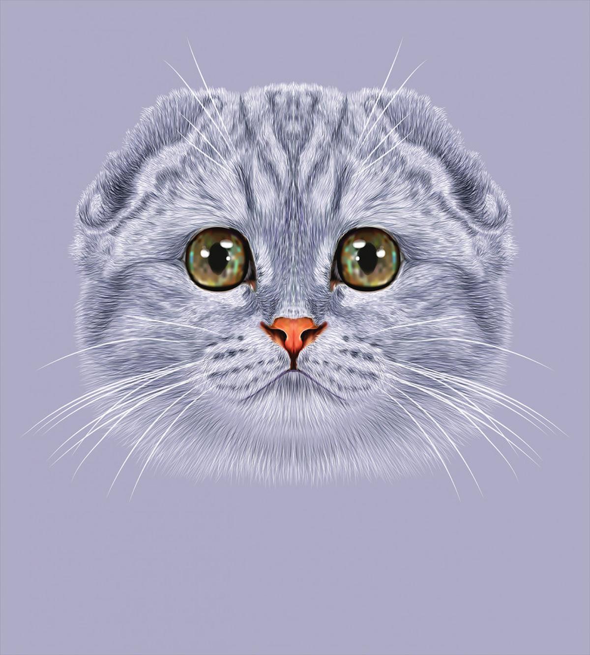 Cat with Green Eyes — Pattern