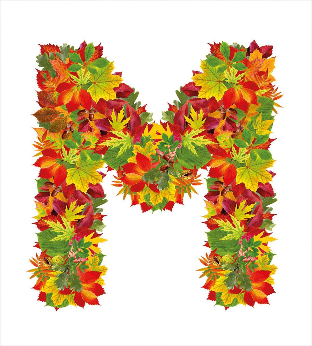 Fall Elements Capital — Pattern