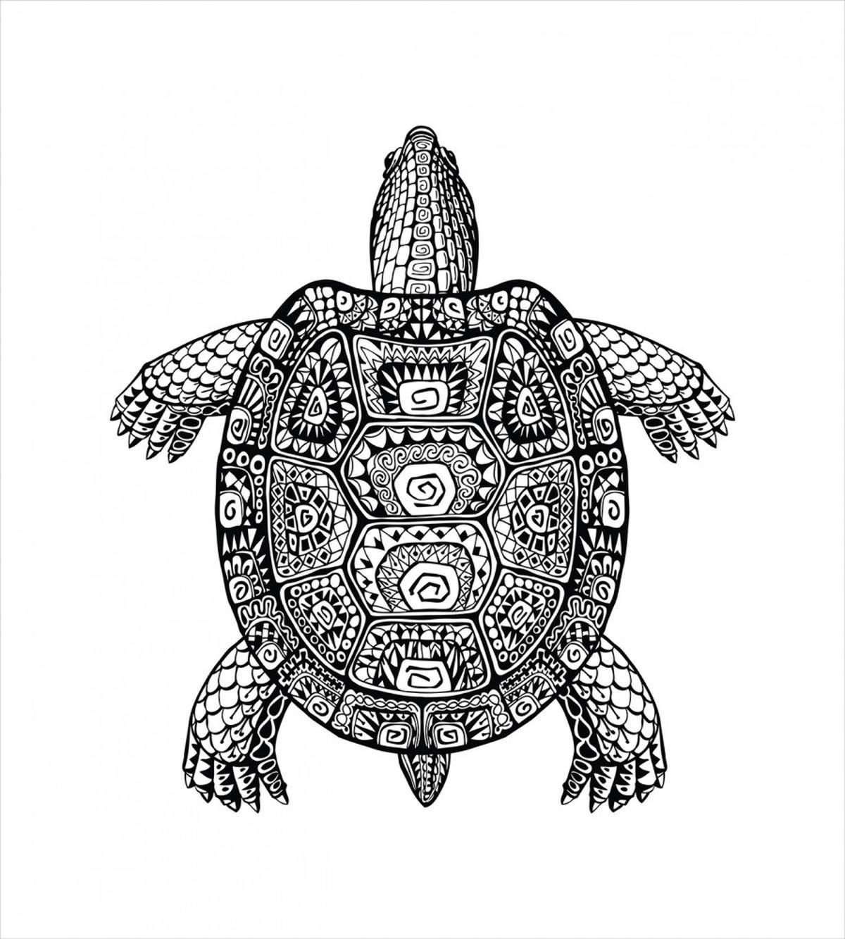 Tribal Art on Tortoise — Pattern