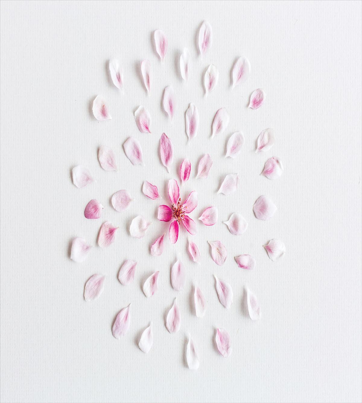 Sakura with Petals — Pattern