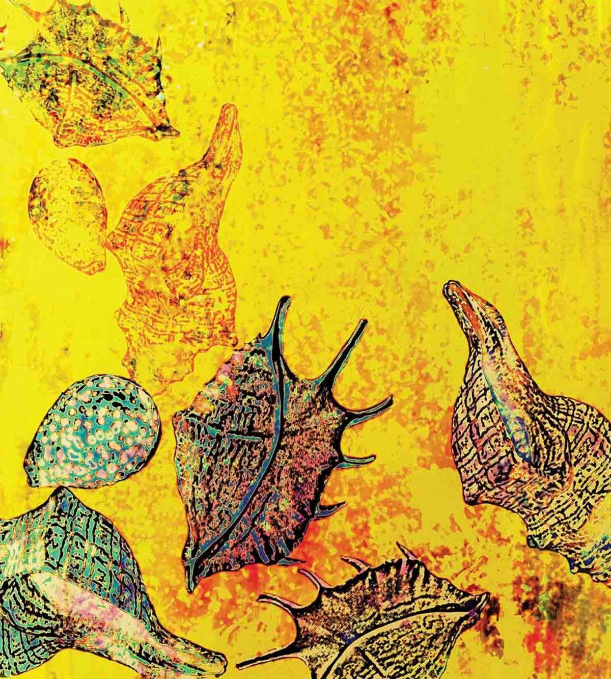 Seashells Animal Grunge — Pattern