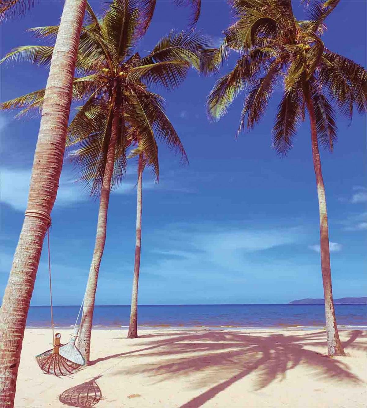 Ocean Palms Warm Beach — Pattern