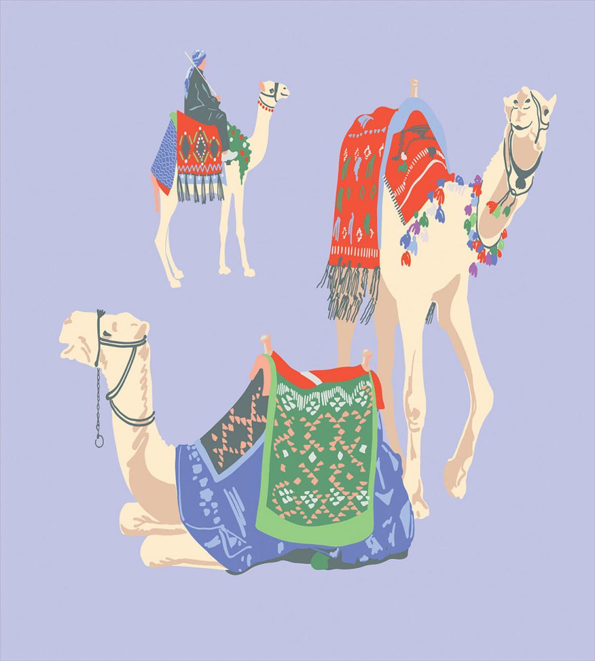 Camels with Rugs — Pattern