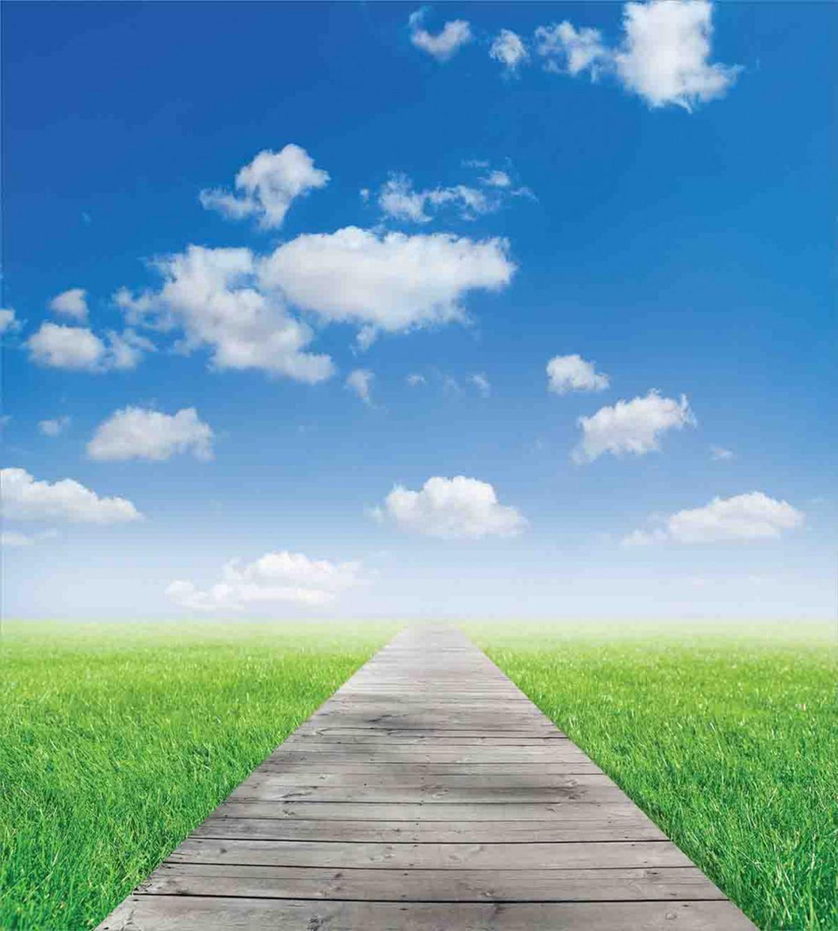 Meadow Countryside Path — Pattern