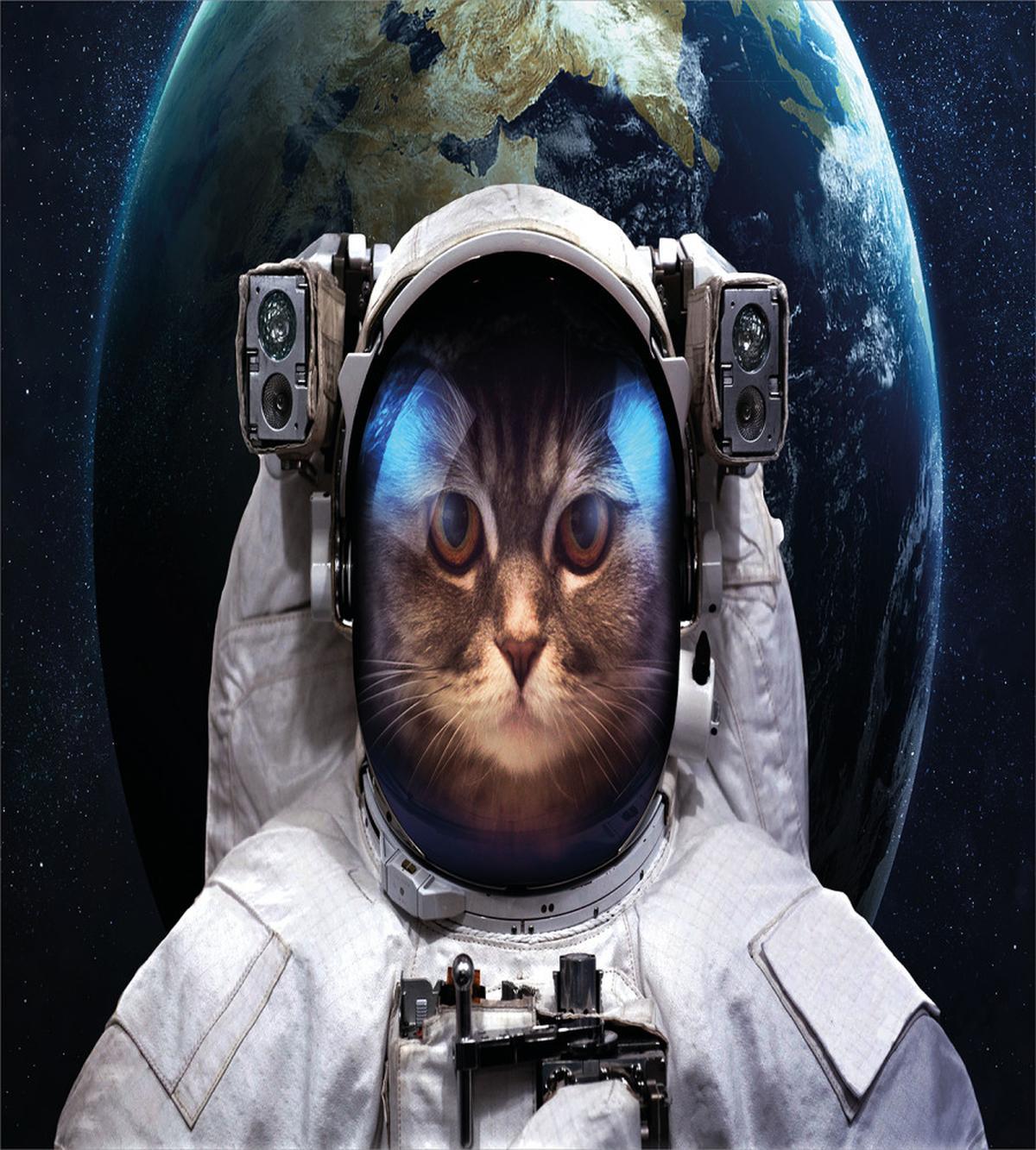 Planet Earth Backdrop — Pattern