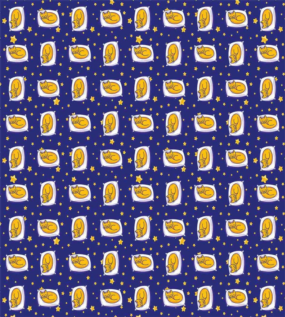Sleeping Kittens Nighttime — Pattern