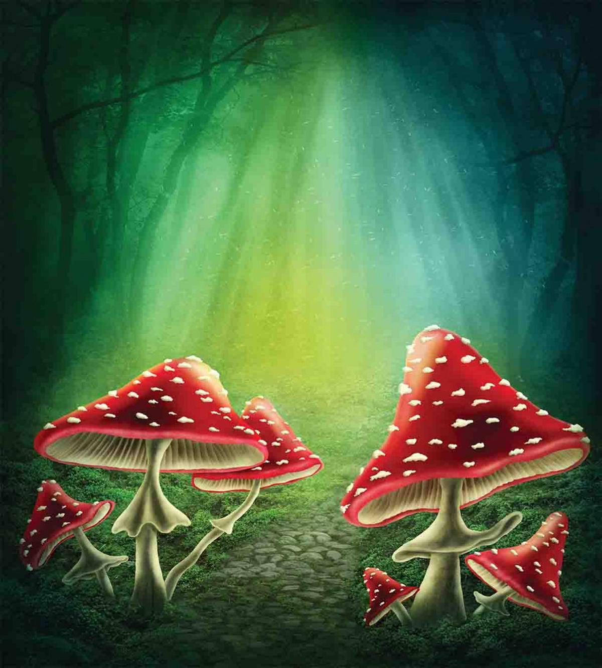 Mysterious Mushrooms — Pattern