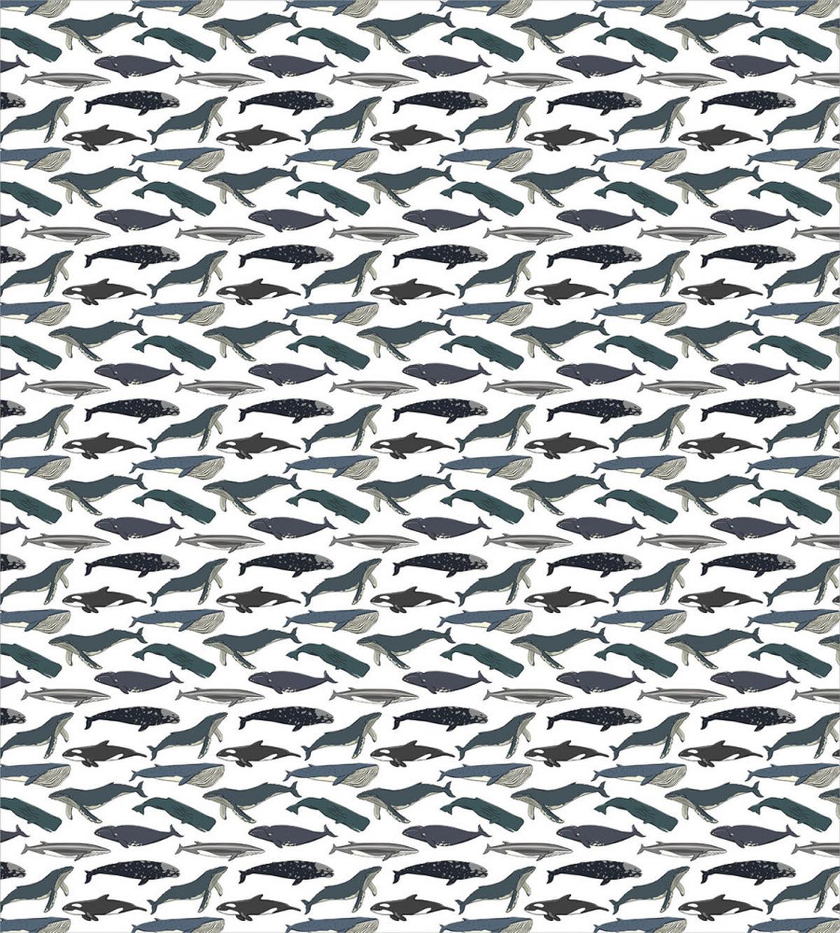 Whales Aquatic Species Marine — Pattern