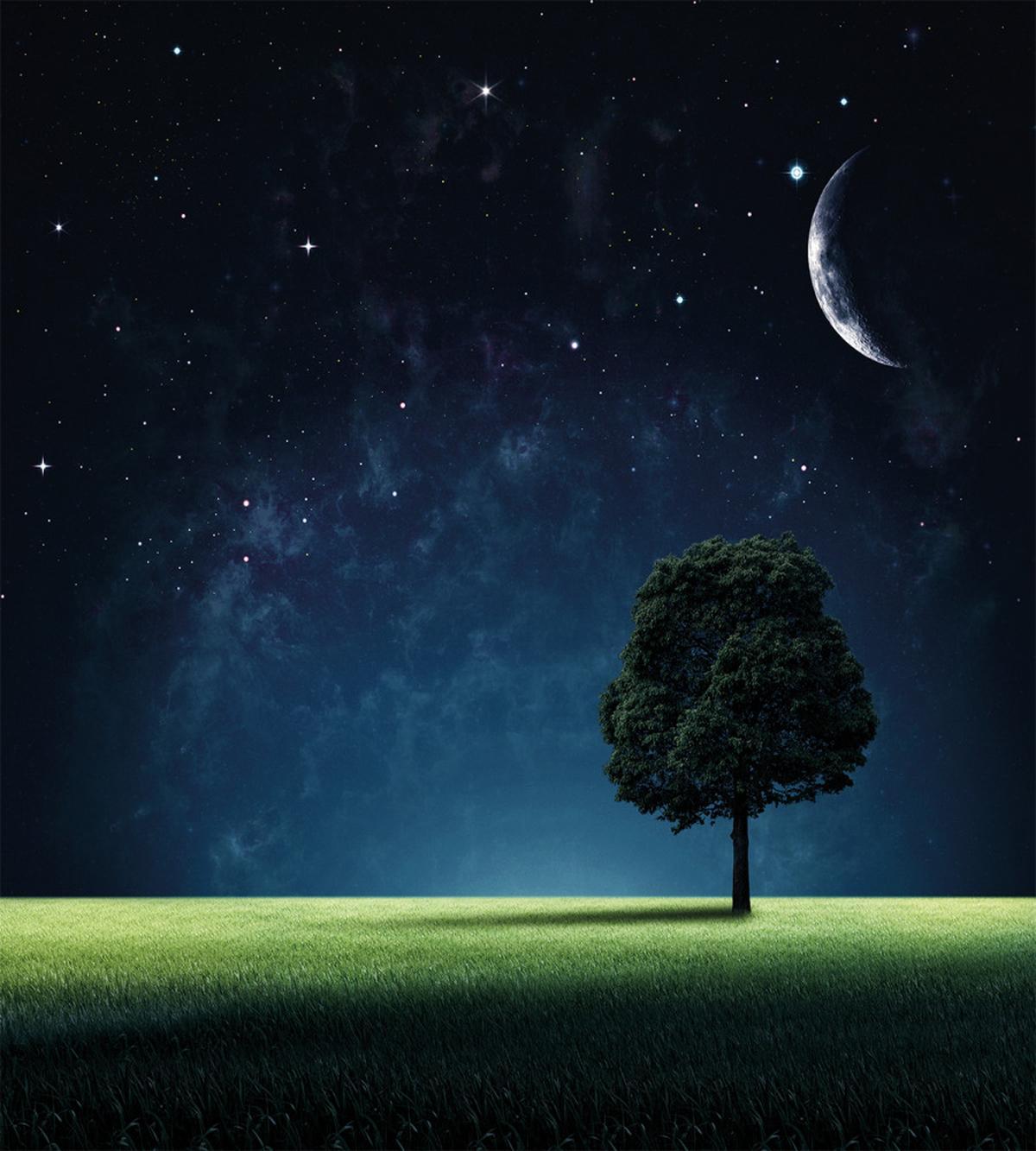Lonely Tree Crescent Moon — Pattern