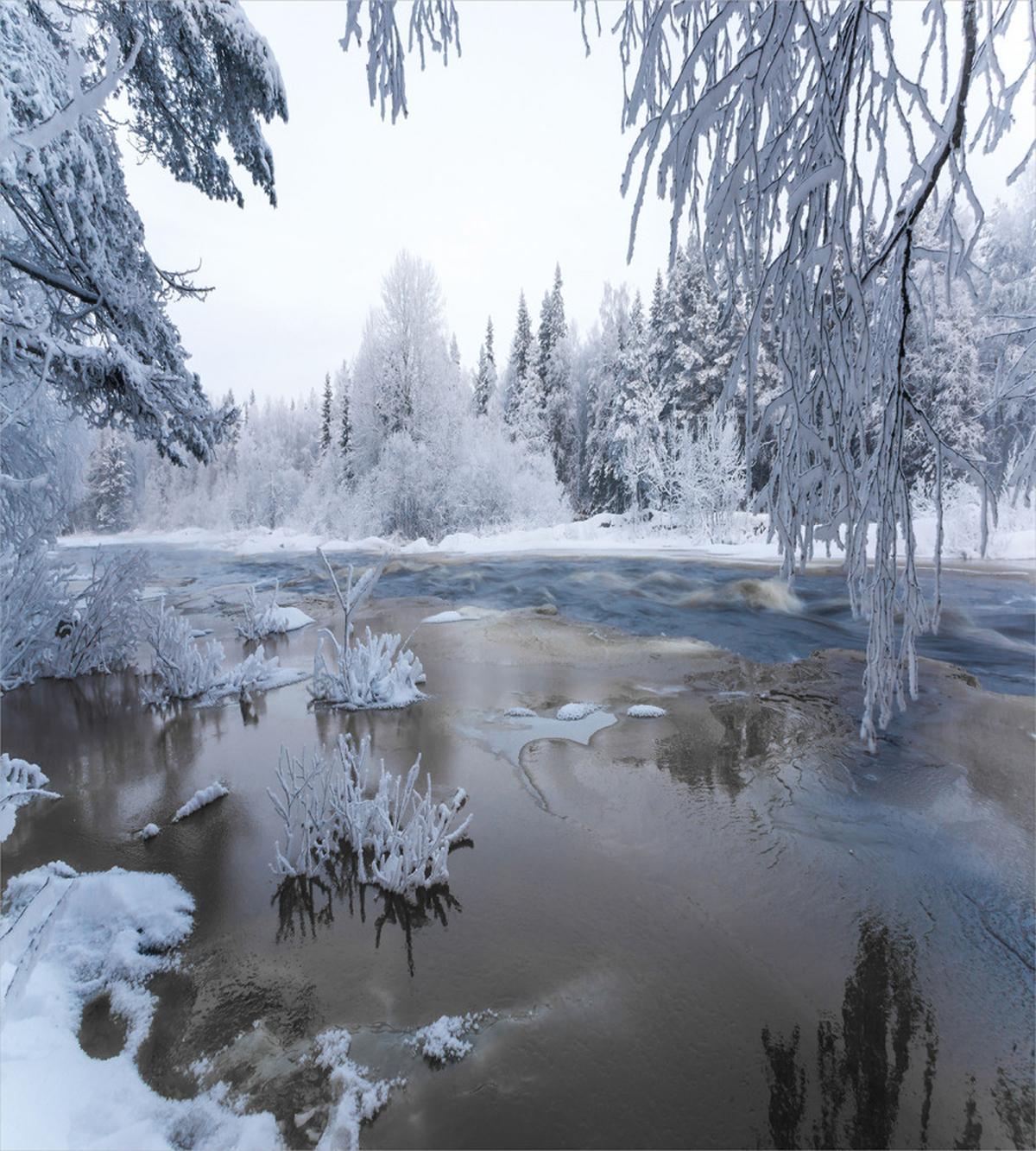 Nordic Snow Nature Icy — Pattern