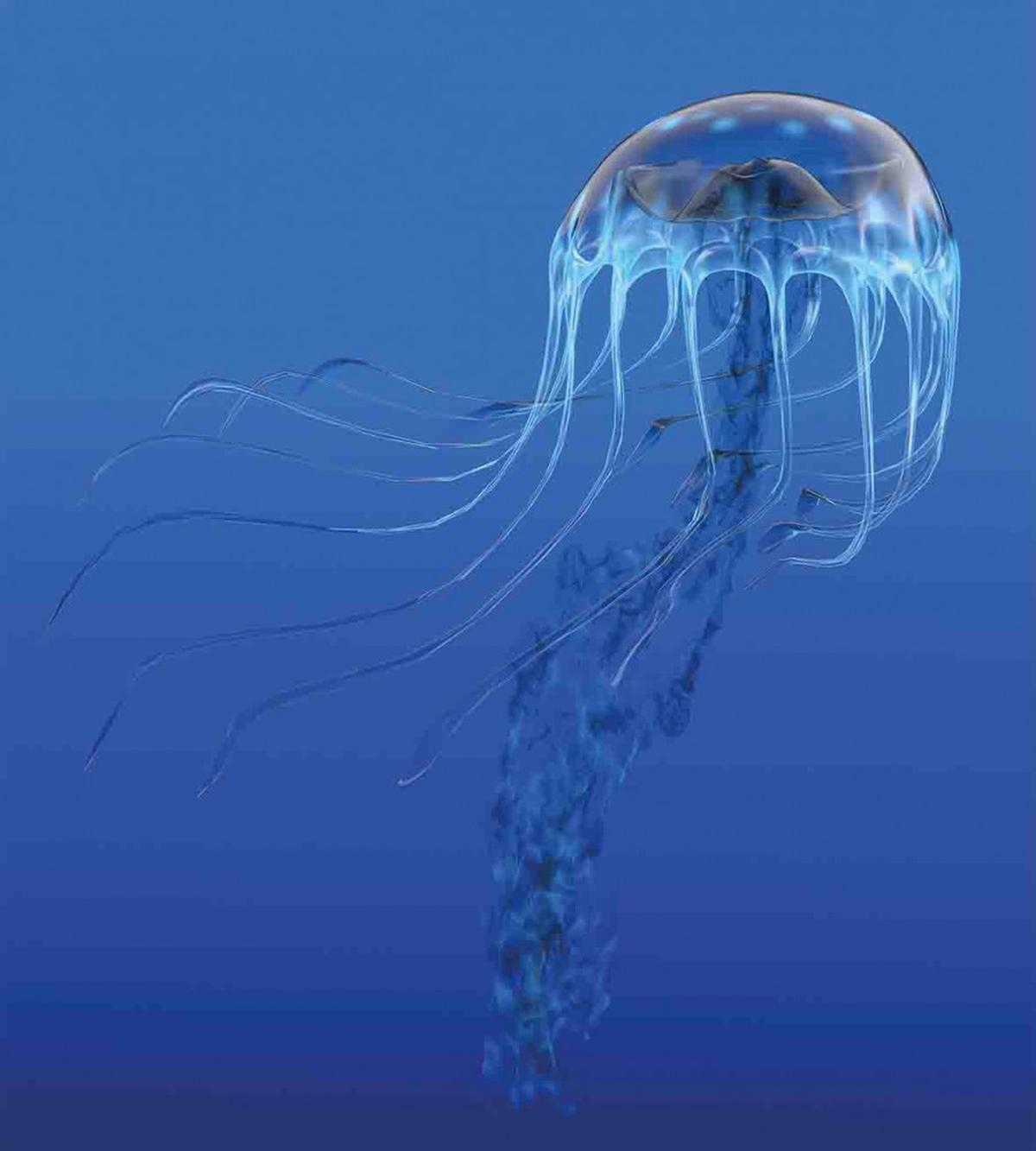 Blue Ocean Animal — Pattern