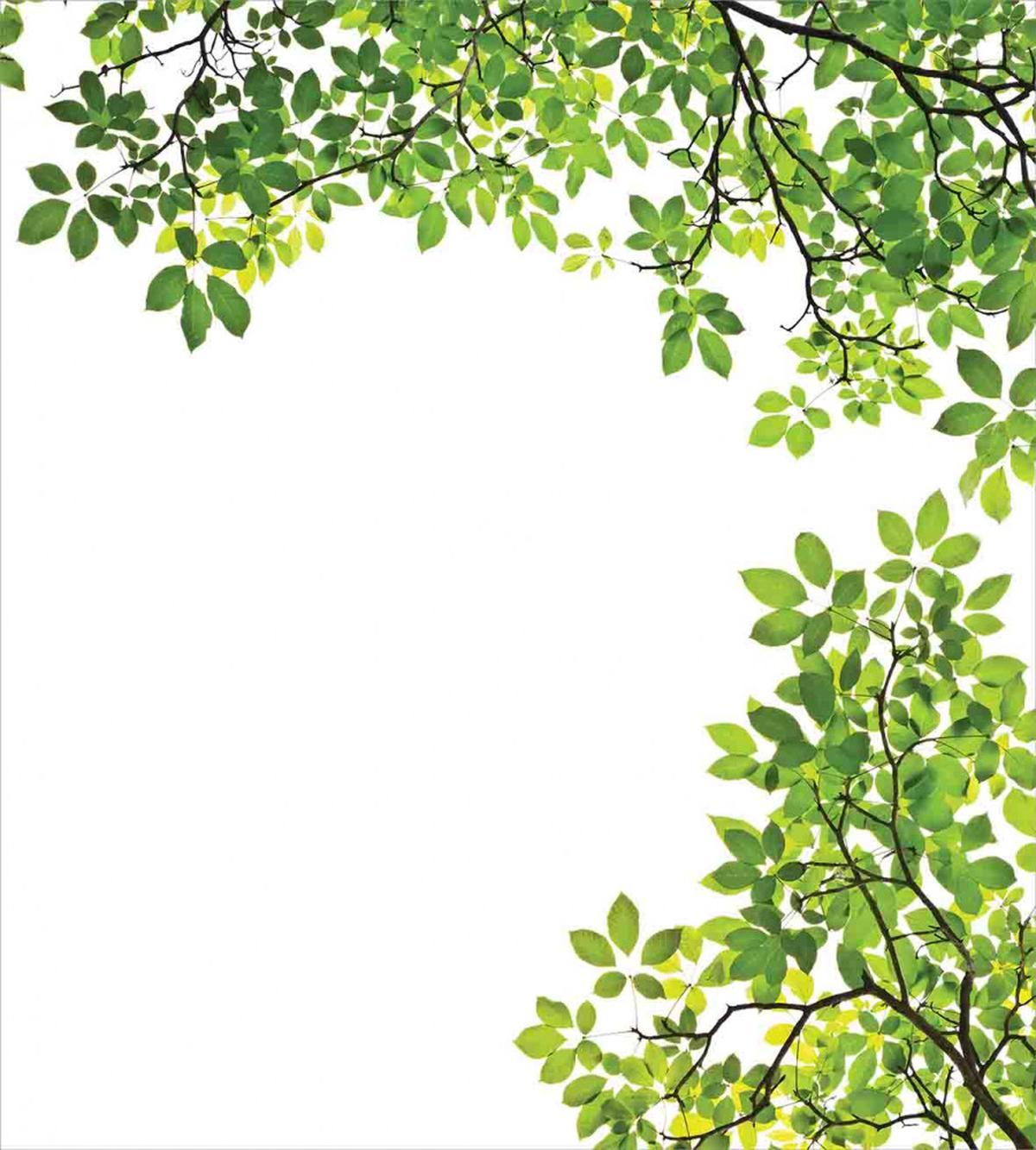 Fresh Branch with Leaves — Pattern