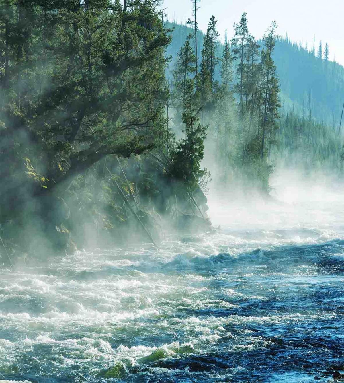 River Trees Nature — Pattern