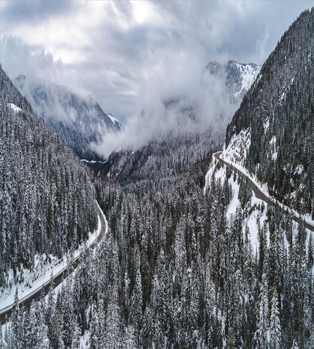 Highway in Winter Forest — Pattern