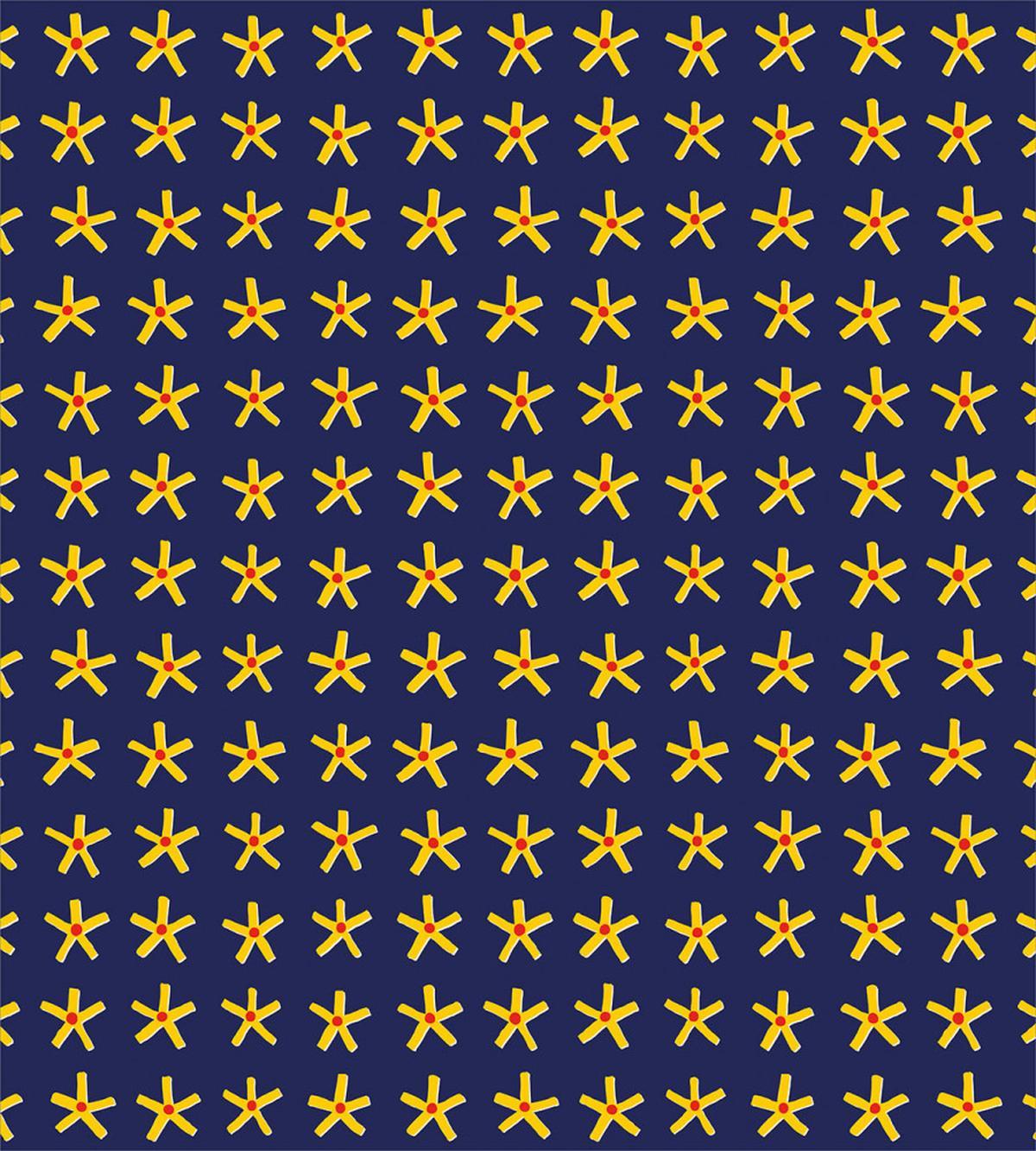 Primitive Style Stars Art — Pattern