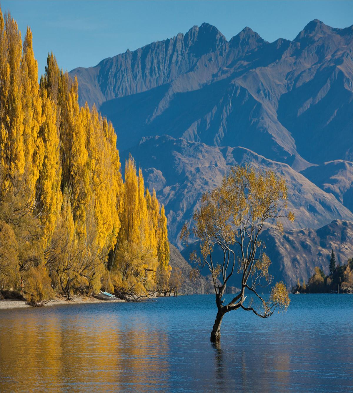 Sunken Tree Lake Rural — Pattern