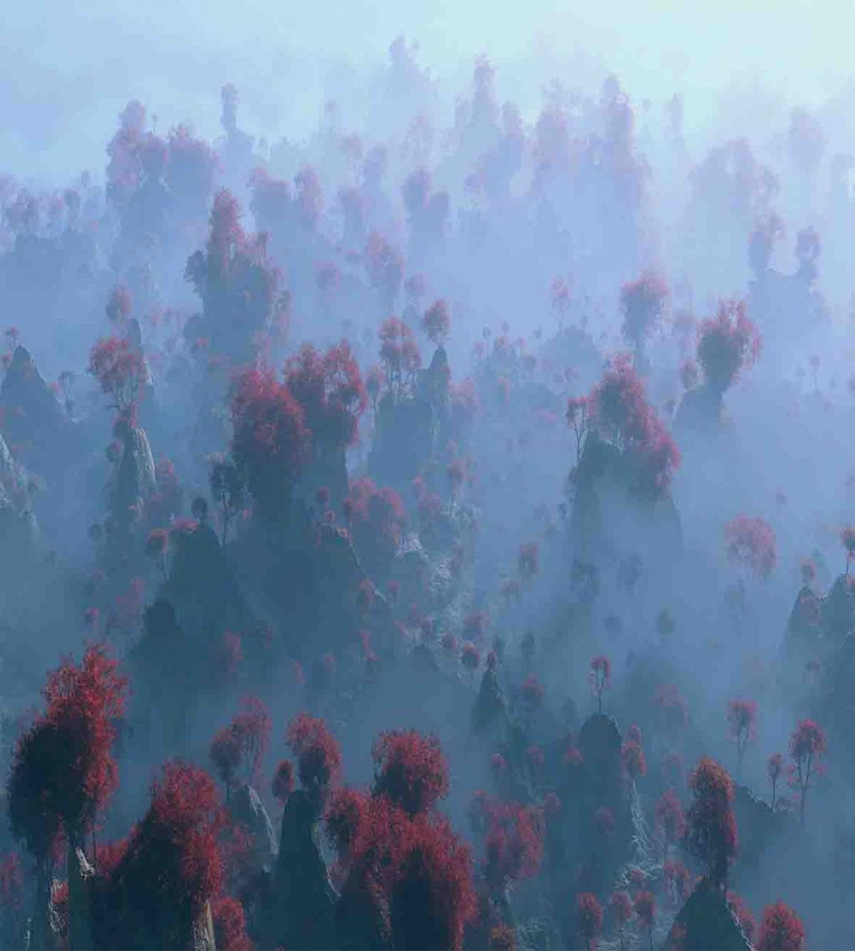 Autumn Trees in Mist — Pattern