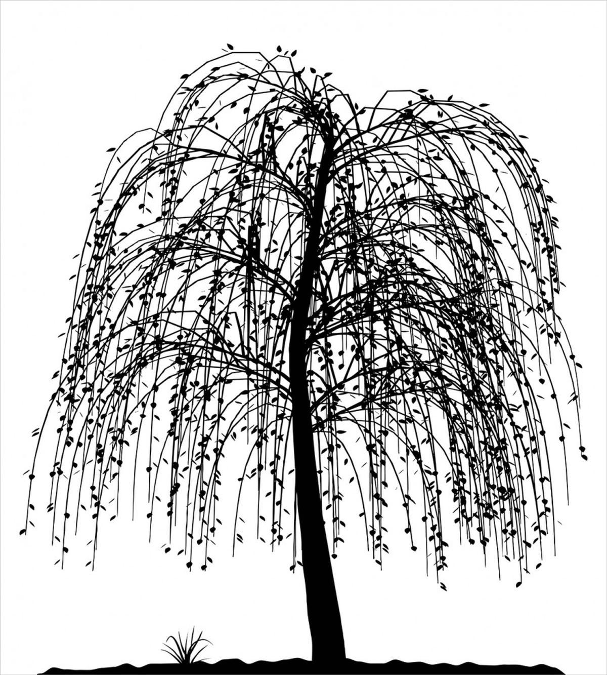 Barren Nature — Pattern