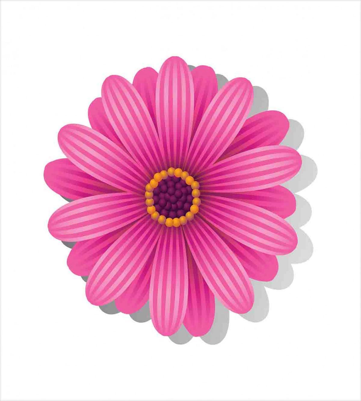 Gerbera Daisy — Pattern