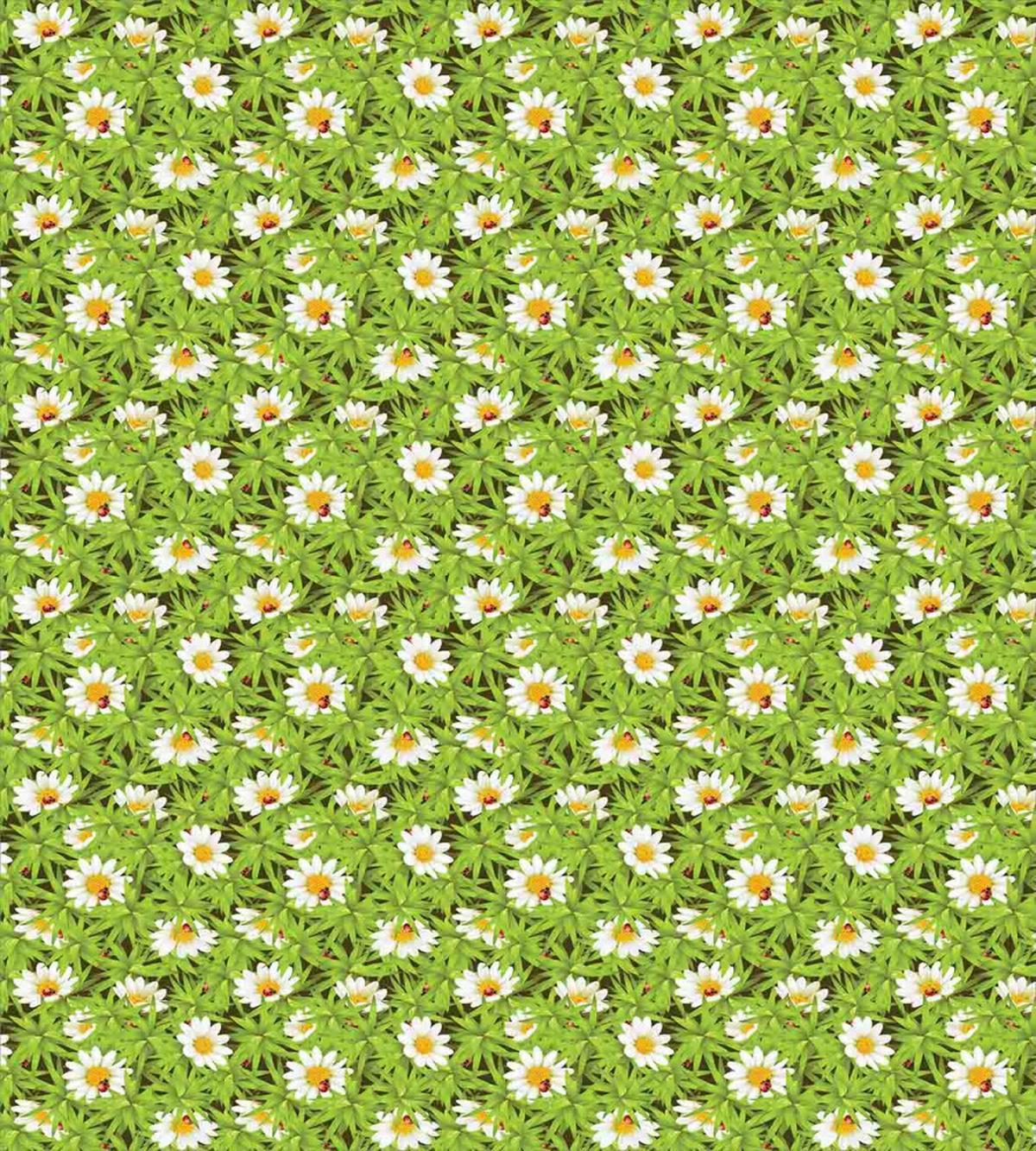 Flowers and Wildlife — Pattern