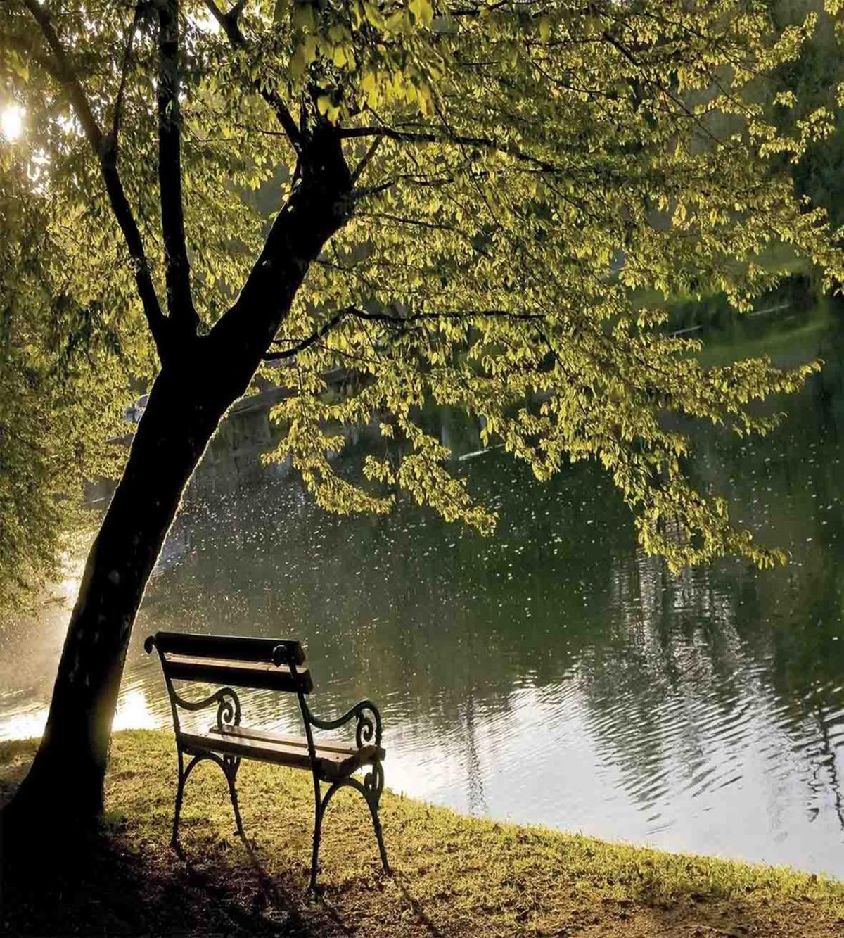 Resting at Riverside — Pattern