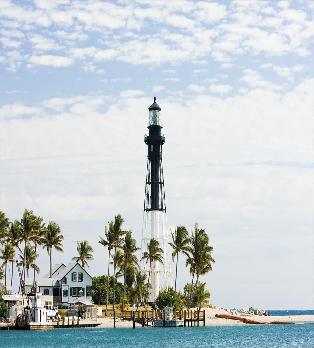 Lighthouse Palms — Pattern