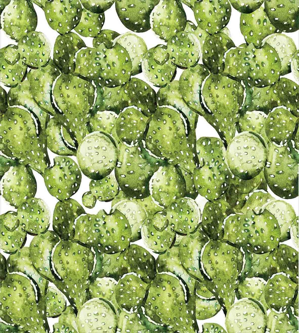 Sun Cactus Landscape — Pattern