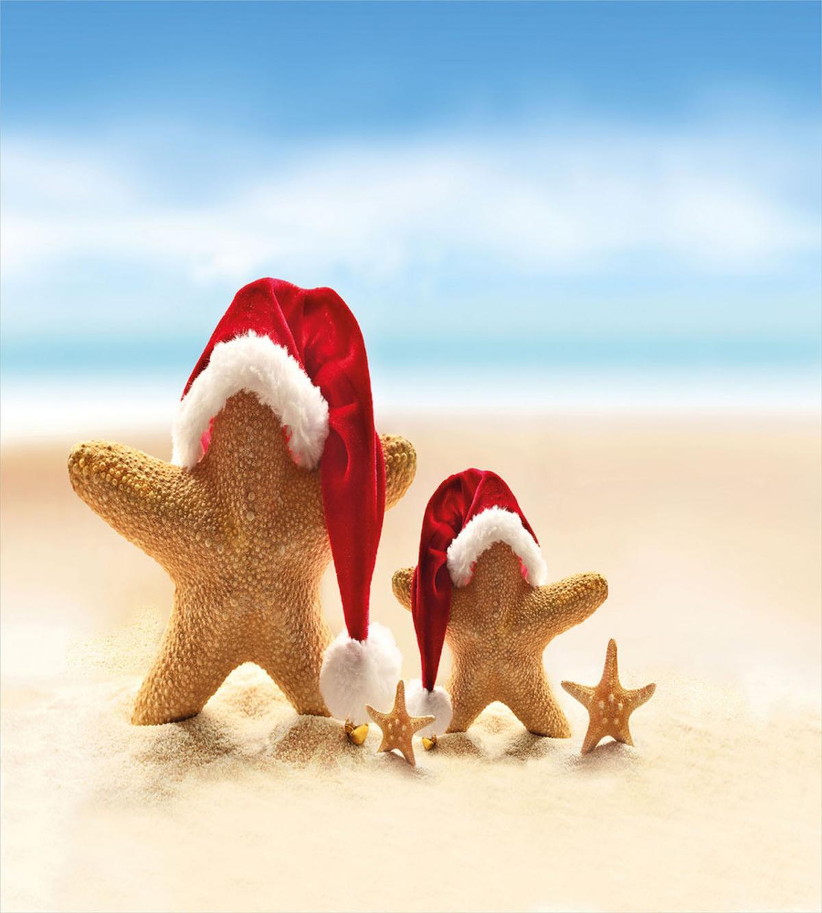 Santa Starfishes — Pattern