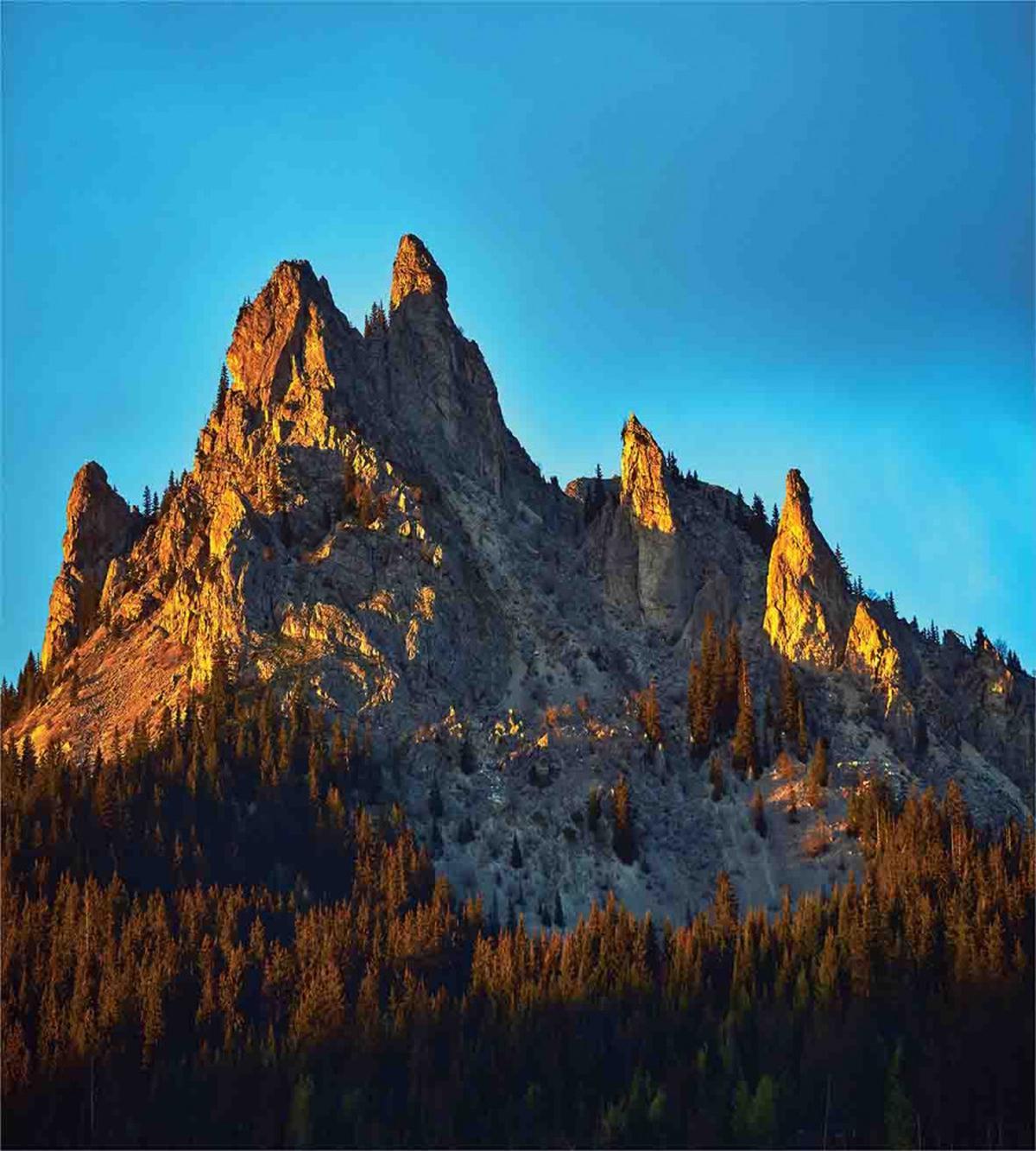 Mountain Forest Sunset — Pattern