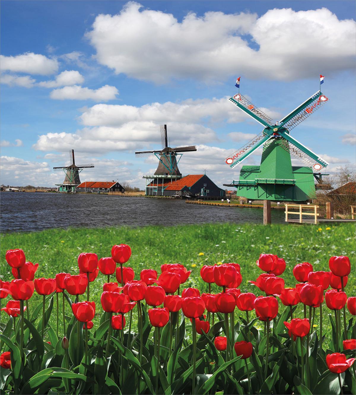 Red Color Tulips Field — Pattern