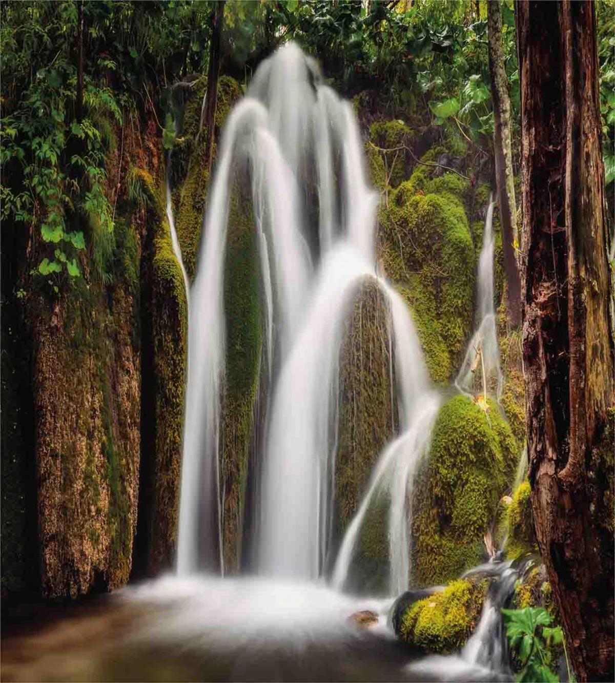 Waterfall Forest Cascade — Pattern
