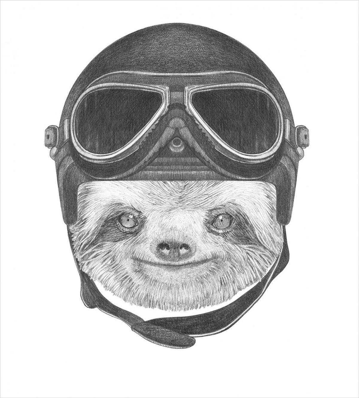 Biker Hipster Animal — Pattern