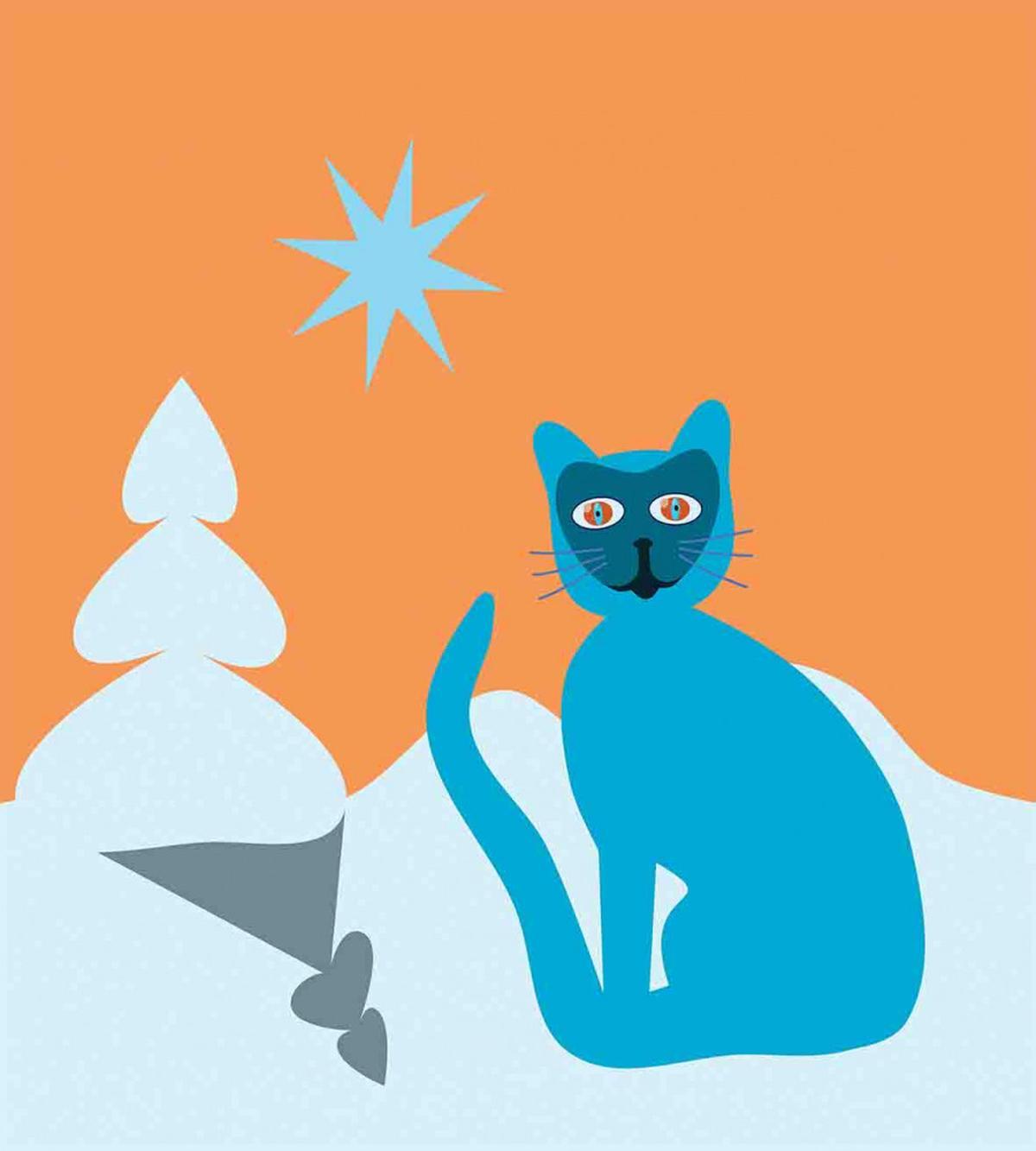 Cat with Raccoon Mask — Pattern