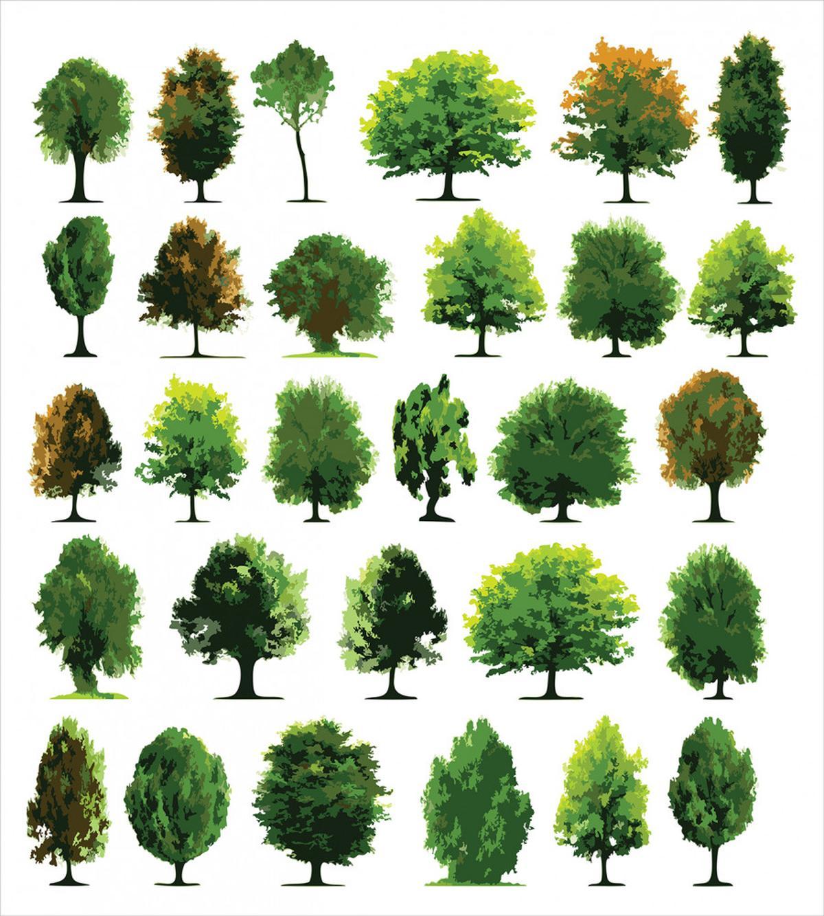 Pines Planes Bushes Tree — Pattern