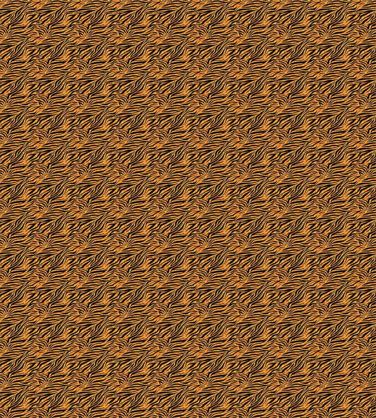 Tiger Skin Motif — Pattern