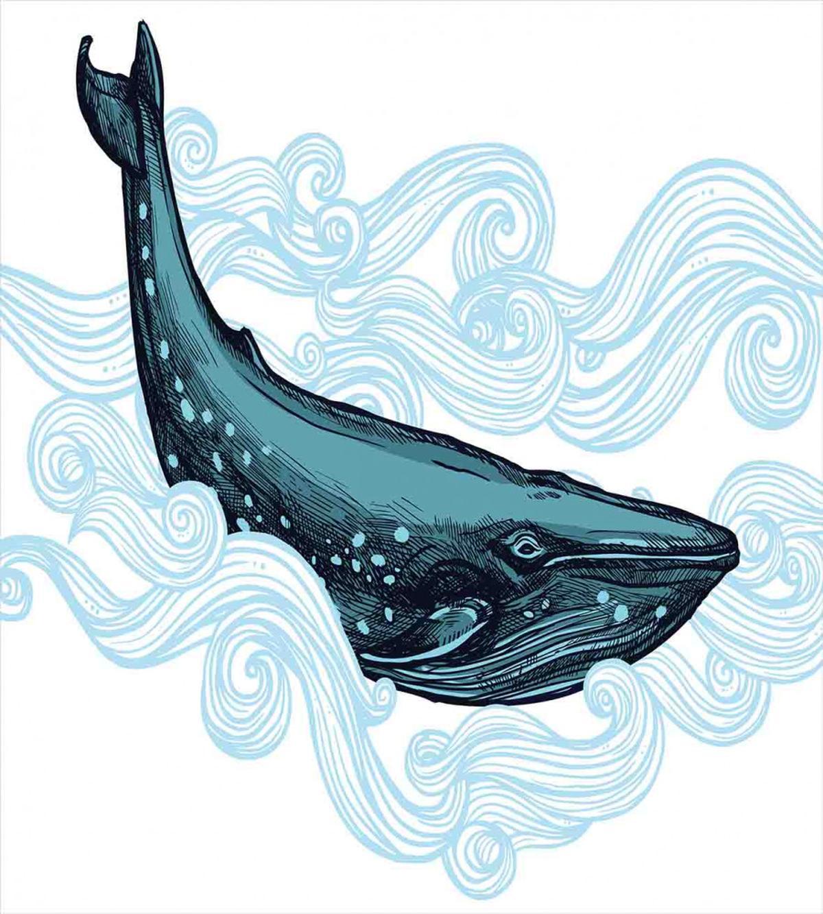 Whale with Striped Wave — Pattern