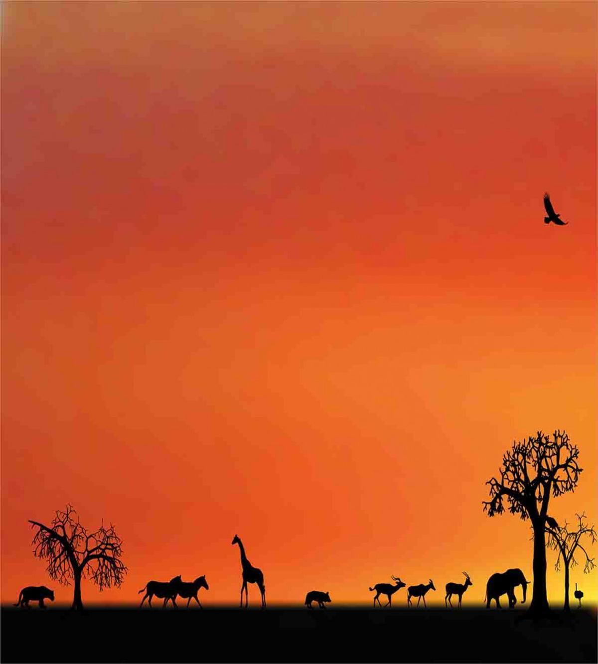 Safari Sunset with Gull — Pattern