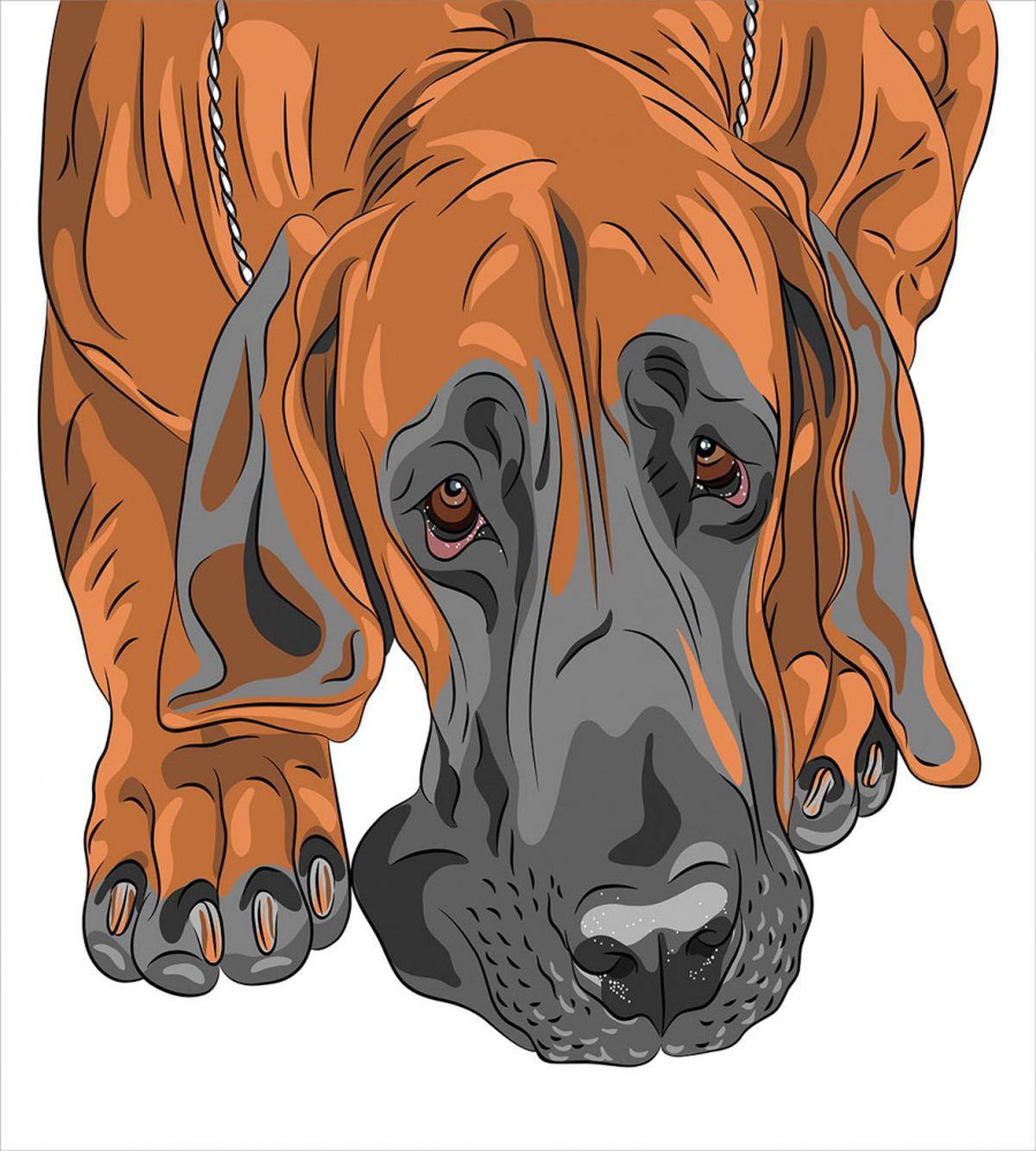 Sad Looking Dog Cartoon — Pattern