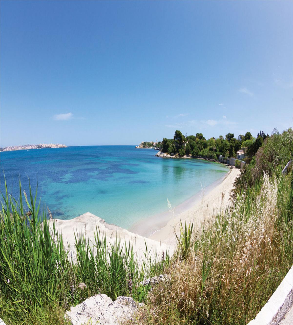 Panoramic Sandy Coastline — Pattern